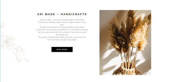 thiết kế website ari made 1