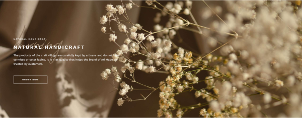 thiết kế website ari made 3